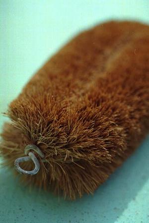 東京都内で屋形船を探している人に