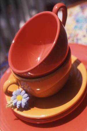 人の流れを意識した厚木のイベントの警備