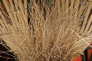 福岡県のお店を利用するのであれば