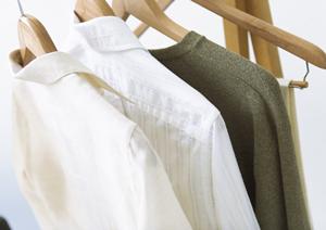 安全を重視したハト対策をすること